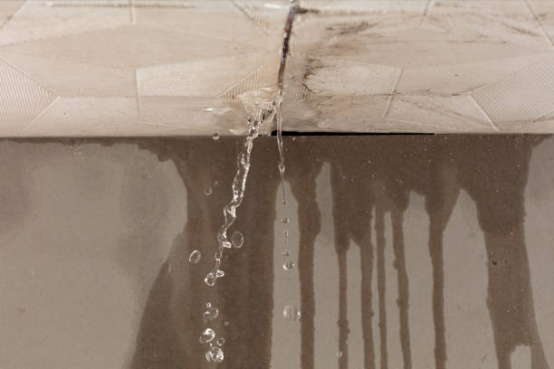 Professional Structural Drying technician working in Berger, MO